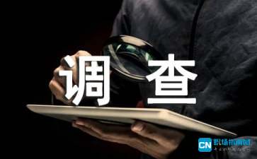 大学生上网状况的社会实践调查报告