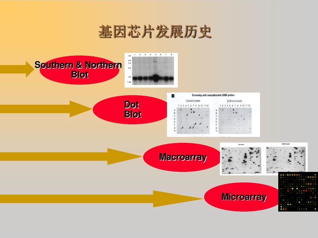 生物芯片实验信号检测及数据处理