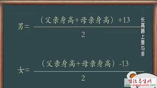 遗传算法数据分析_数据分析遗传算法_遗传算法数据分析实验报告